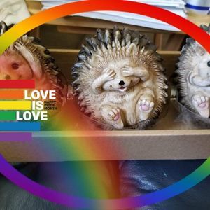 Meet your Posher, Karla